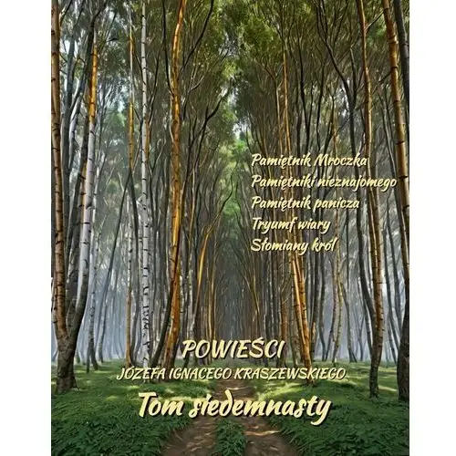 Powieści Józefa Ignacego Kraszewskiego. Tom 17