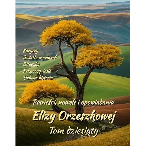 Powieści, nowele i opowiadania Elizy Orzeszkowej. Tom 10 - ebook EPUB