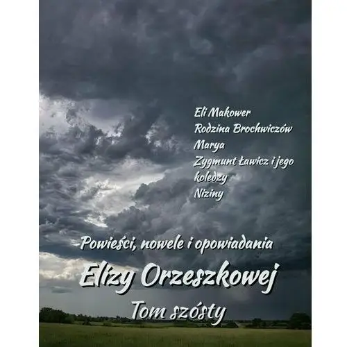 Powieści, nowele i opowiadania Elizy Orzeszkowej. Tom 6 - ebook EPUB