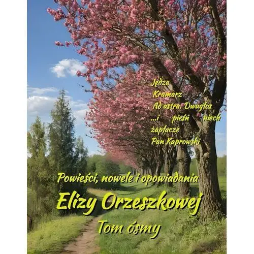 Powieści, nowele i opowiadania Elizy Orzeszkowej. Tom 8 - ebook EPUB