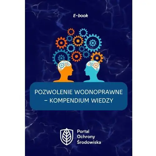 Pozwolenie wodnoprawne – kompendium wiedzy