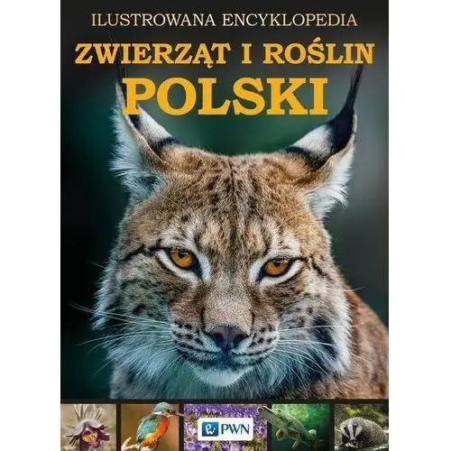 Ilustrowana encyklopedia zwierząt i roślin polski Praca zbiorowa