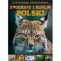 Ilustrowana encyklopedia zwierząt i roślin polski Praca zbiorowa Sklep on-line