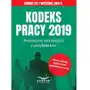 Kodeks pracy 2019.praktyczny komentarz z przykładami Sklep on-line