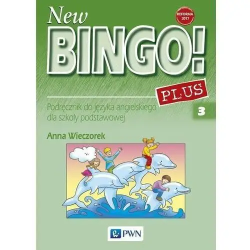 New bingo! 3 plus sb pwn