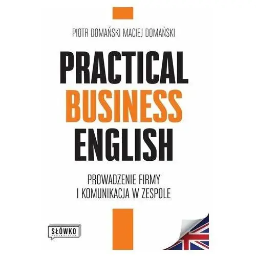 Practical Business English. Prowadzenie firmy i komunikacja w zespole PIOTR DOMAŃSKI