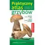 Praktyczny atlas grzybów Sklep on-line