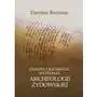 Prawne i badawcze wyzwania archeologii żydowskiej, AZ#3040BD07EB/DL-ebwm/pdf Sklep on-line