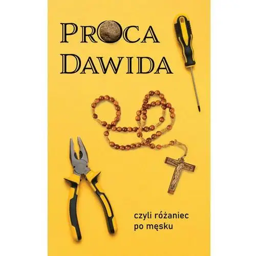 Proca Dawida