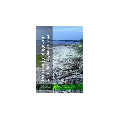 Procesy geologiczne w strefie brzegowej morza Wydawnictwo uniwersytetu gdańskiego 2