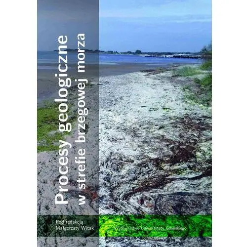 Procesy geologiczne w strefie brzegowej morza Wydawnictwo uniwersytetu gdańskiego