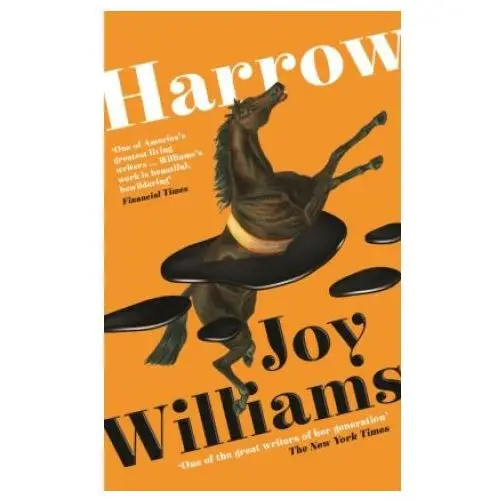 Joy williams - harrow Profile books