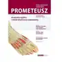 Prometeusz Atlas Anatomia Tom 1 Angielska Sklep on-line