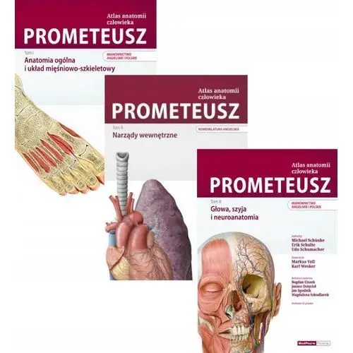 Prometeusz Atlasy Anatomii Prometeusza Tomy 1-3 Nomenklatura Angielska