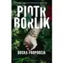 Prószyński media Boska proporcja. seria kryminalna o agacie stec. tom 1 wyd. 2023 Sklep on-line