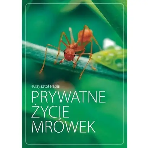 Prywatne życie mrówek