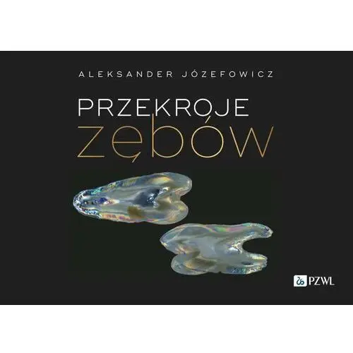 Przekroje zębów