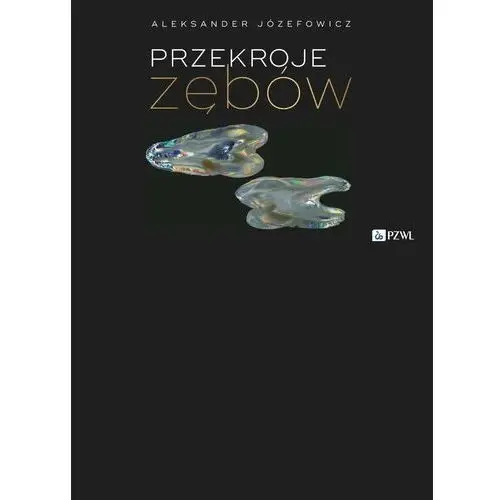 Przekroje zębów