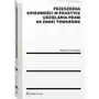 Przeszkoda opisowości w praktyce udzielenia praw na znaki towarowe Sklep on-line