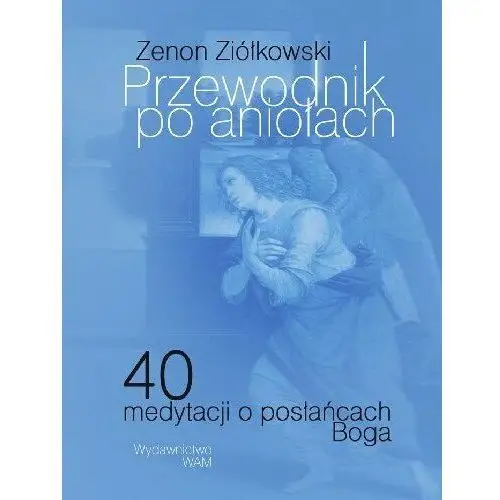 Przewodnik po Aniołach 40 Medytacji o Posłańcach Boga