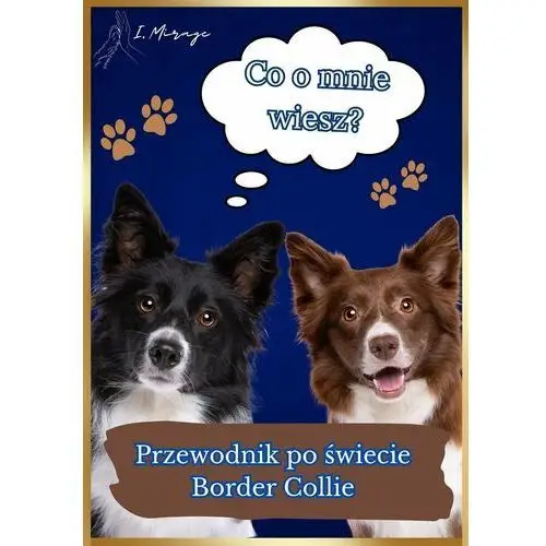 Przewodnik po świecie Border Collie