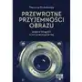 Przewrotne przyjemności obrazu. eseje o fotografii w kulturze popularnej Katedra wydawnictwo naukowe Sklep on-line