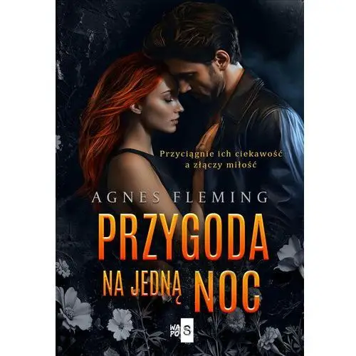 Przygoda na jedną noc