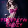 Przypływ żądzy - opowiadanie erotyczne Sklep on-line