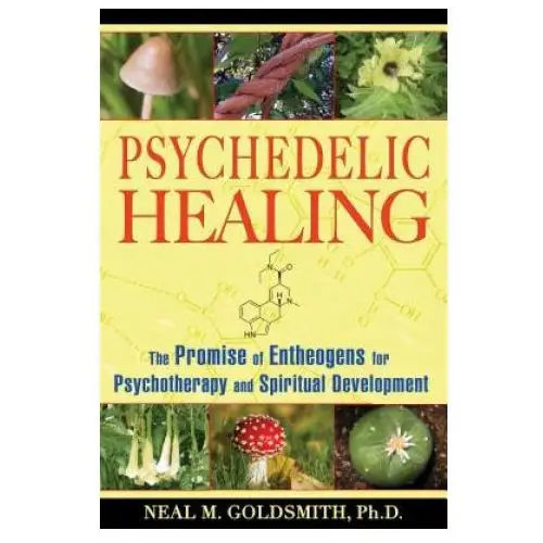 Psychedelic healing Inner traditions bear and company