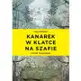 Psychoskok Kanarek w klatce na szafie Sklep on-line