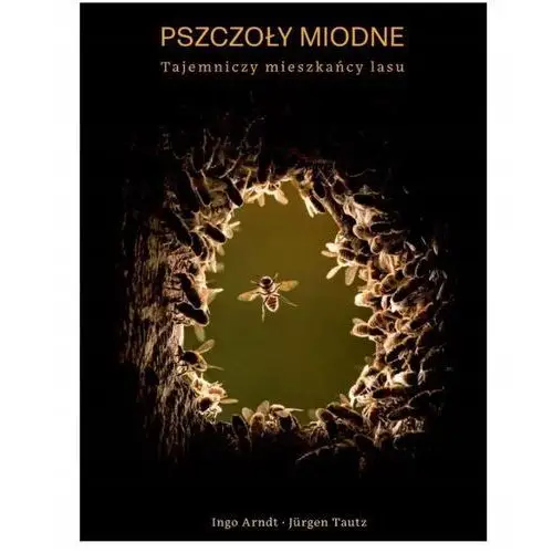 Pszczoły miodne. Tajemniczy mieszkańcy lasu (Ingo Arndt Jürgen Tautz)