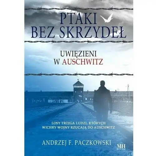 Ptaki bez skrzydeł