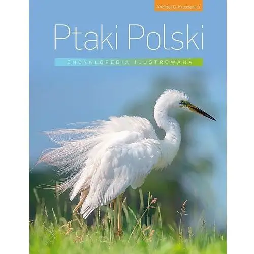 Ptaki Polski. Encyklopedia ilustrowana