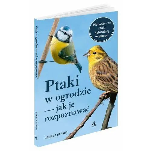 Ptaki w ogrodzie. Jak je rozpoznawać