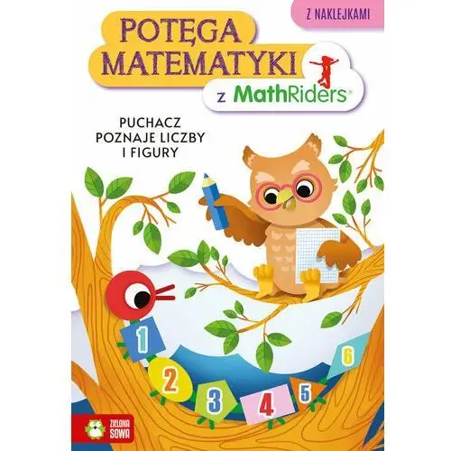 Puchacz poznaje liczby i figury. Potęga matematyki z MathRiders