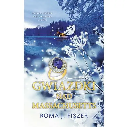 Purple book Gwiazdki nad massachusetts