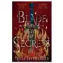 Pushkin children's books Blade of secrets Sklep on-line