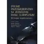 Polskie przedsiębiorstwo na jednolitym rynku europejskim. wyzwania współczesności Sklep on-line