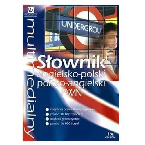 Multimedialny słownik angielsko-polski polsko-angielski (płyta cd) Pwn