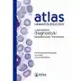 Atlas hematologiczny z elementami diagnostyki laboratoryjnej i hemostazy, AZ#A09AE740EB/DL-ebwm/mobi Sklep on-line