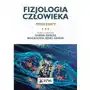 Fizjologia człowieka podstawy - krauss hanna, gibas-dorna magdalena - książka Pzwl Sklep on-line