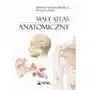 Mały atlas anatomiczny Pzwl Sklep on-line