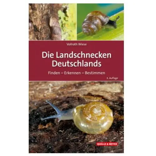 Die Landschnecken Deutschlands