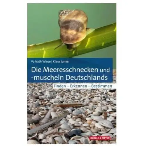 Die meeresschnecken und - muscheln deutschlands Quelle + meyer