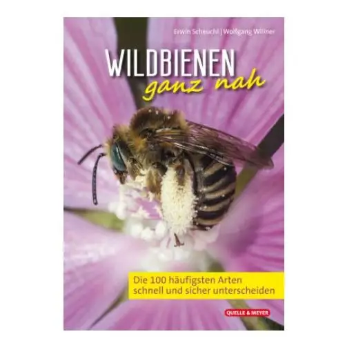 Wildbienen ganz nah Quelle + meyer