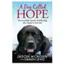 Quercus publishing Dog called hope Sklep on-line