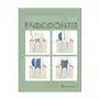 Das kleine 1x1 der Endodontie Sklep on-line