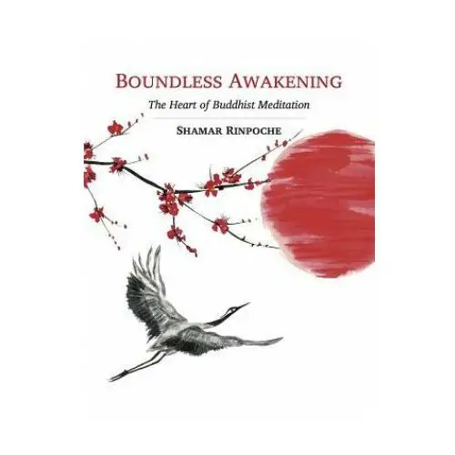 Boundless awakening Rabsel editions