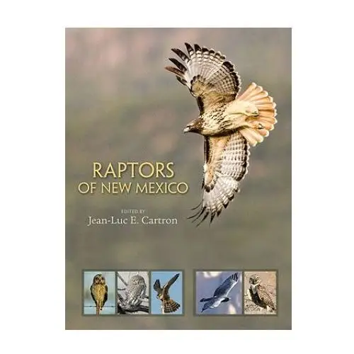 Raptors of New Mexico