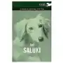 Read books Saluki - a complete anthology of the dog Sklep on-line